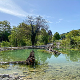 Regenwassernutzung